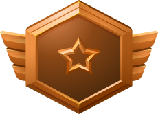 Bronze Package